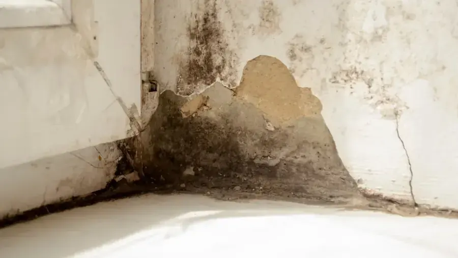 Lower level dried under a Silver Spring home