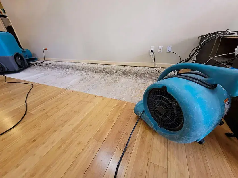 Air mover drying a room after an AC condensate leak in Silver Spring