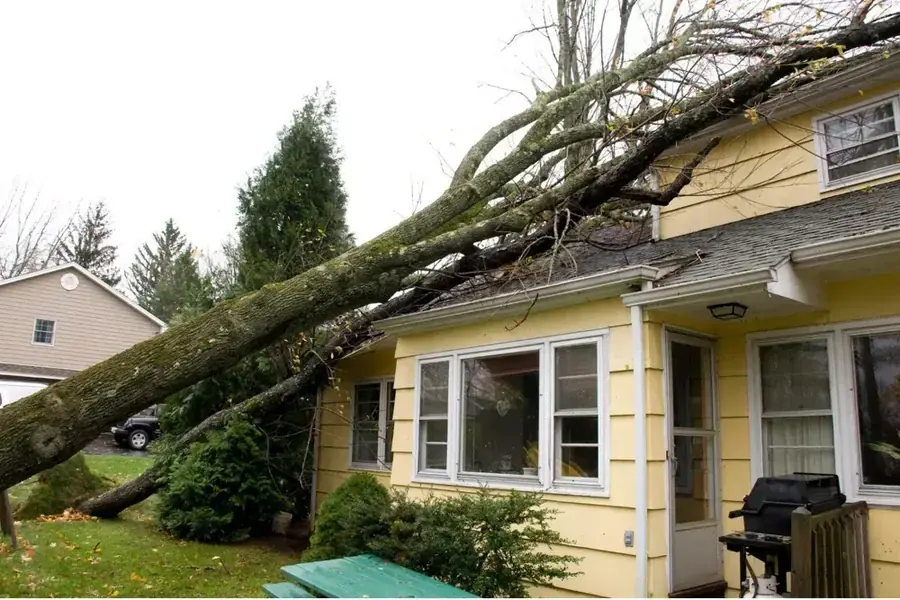 Storm and tree damage to the roof of a Silver Spring home