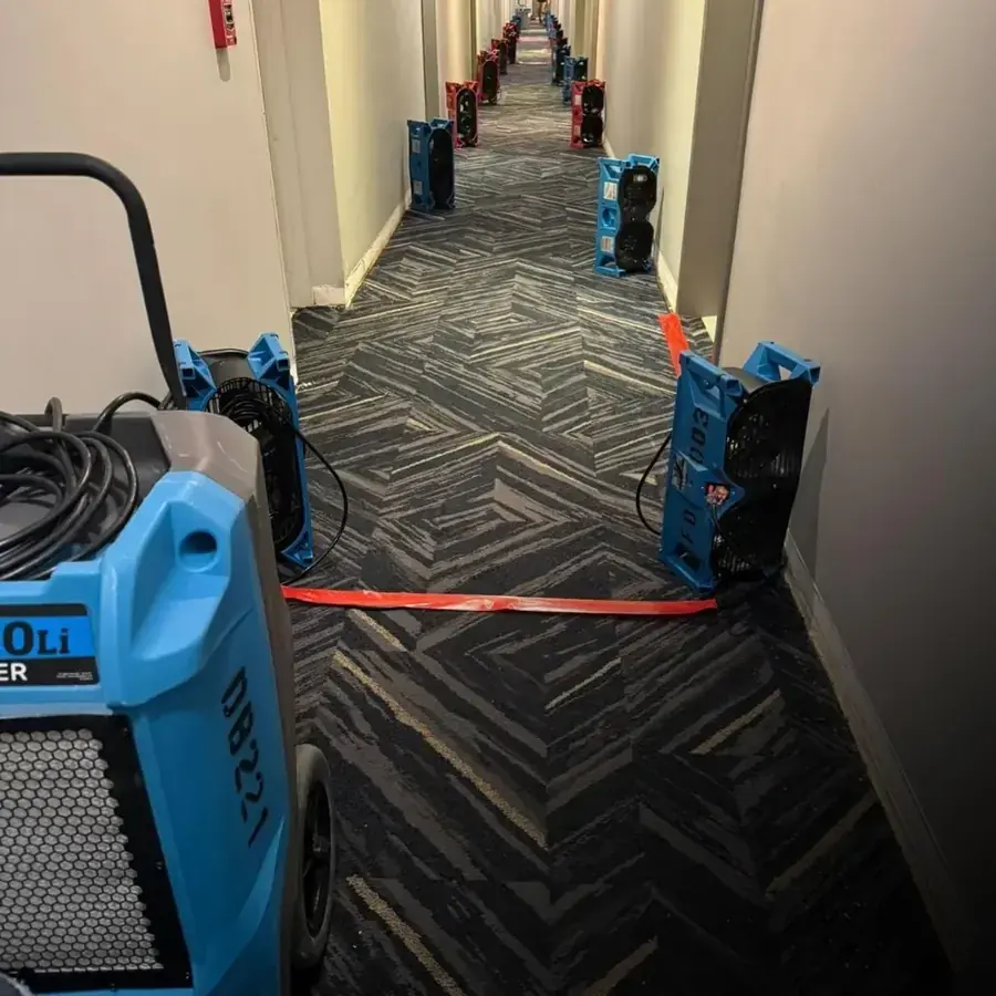 Air movers and a dehumidifier drying a Silver Spring room